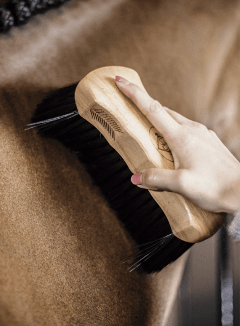 Hovedbilde Grooming Deluxe Body Brush Middle Hard