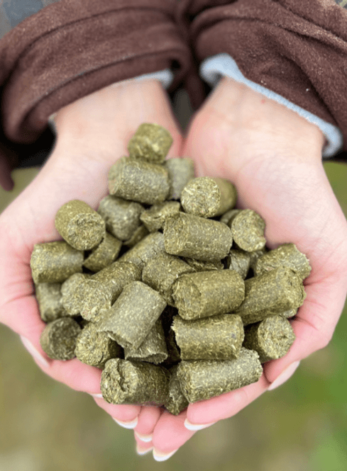 Hovedbilde Silvermoor ECO TREATSIES 1kg