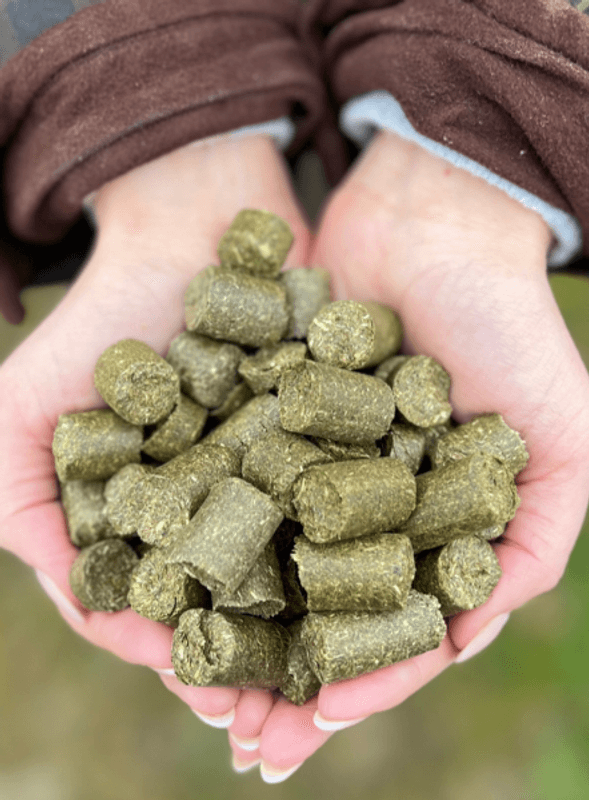 Silvermoor ECO TREATSIES 1kg