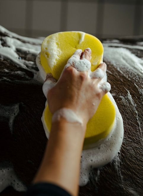 Hovedbilde Infinity Svamp