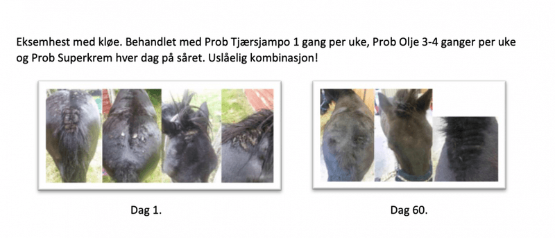 Ekholms Prob - Tjæreshampoo 
