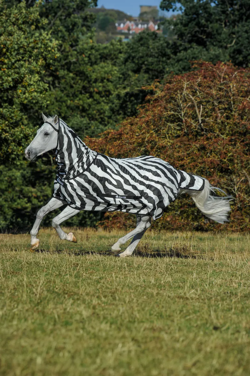 Bucas Buzz-Off Zebra Full-Neck