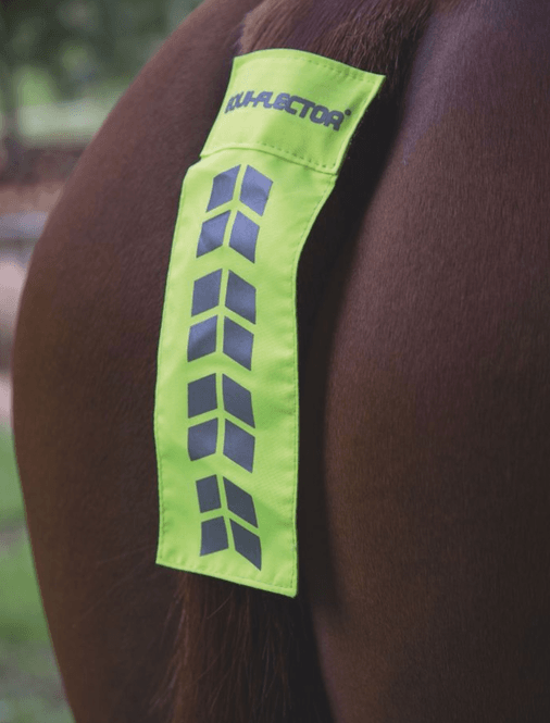 Hovedbilde EQUI-FLECTOR® Halerefleks / onesize