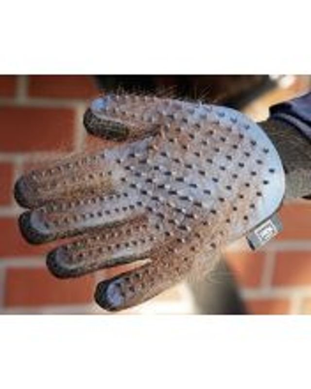 Grooming Glove 