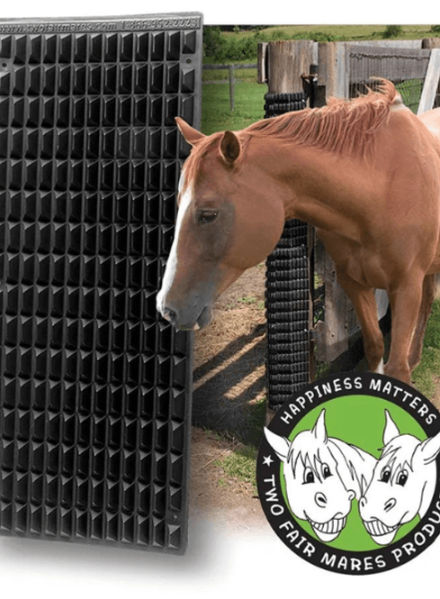 Hovedbilde Shires Equine Scratcher Kløvegg