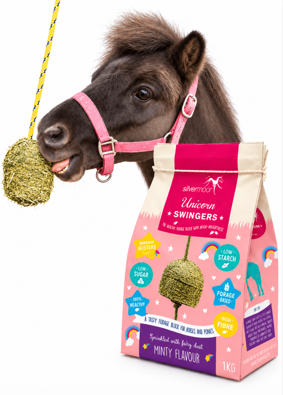 Silvermoor Swingers Boredom Buster Minty Unicorn 1kg
