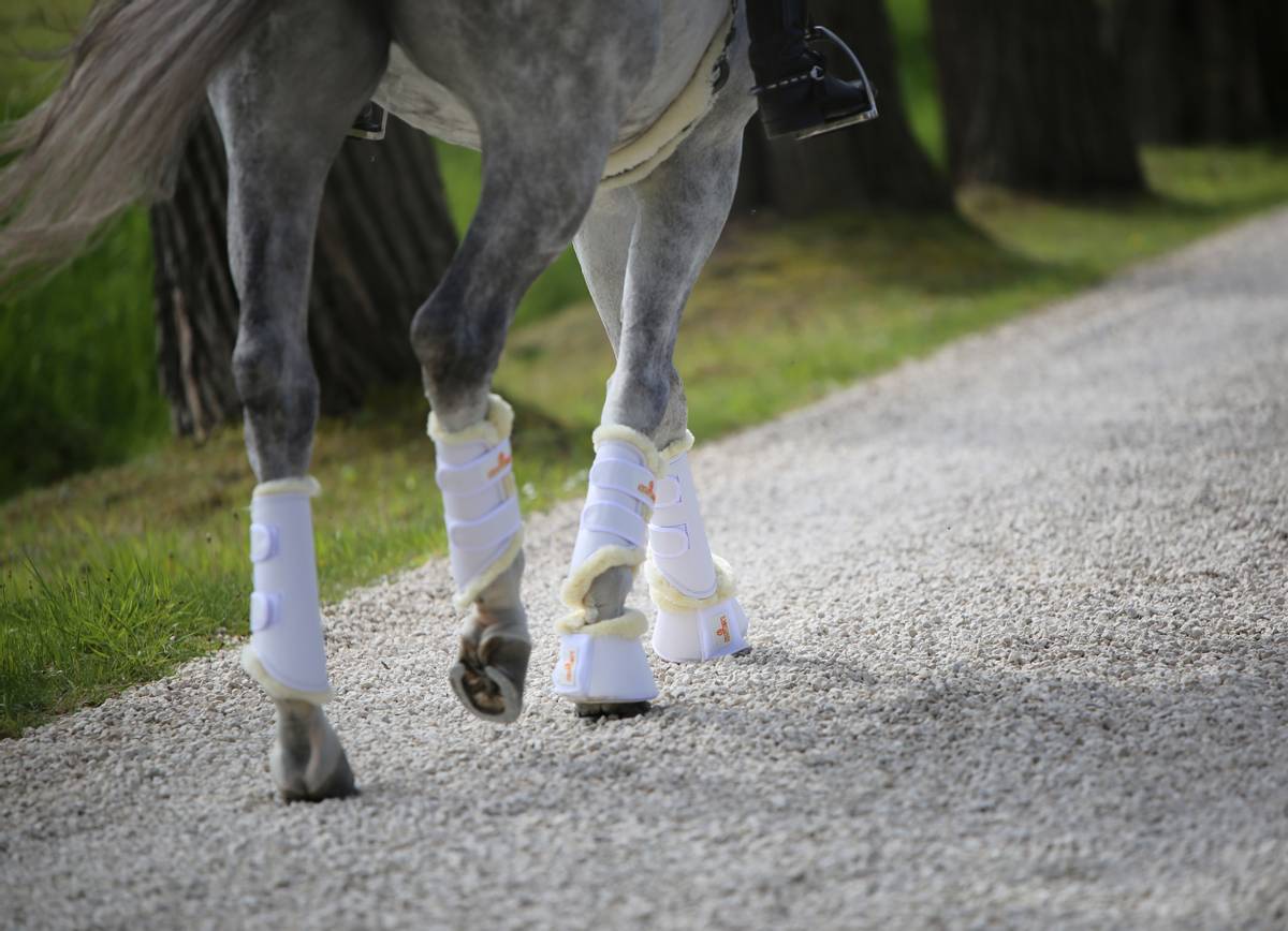 Kentucky Turnout Boots Leather Sheepskin Hind