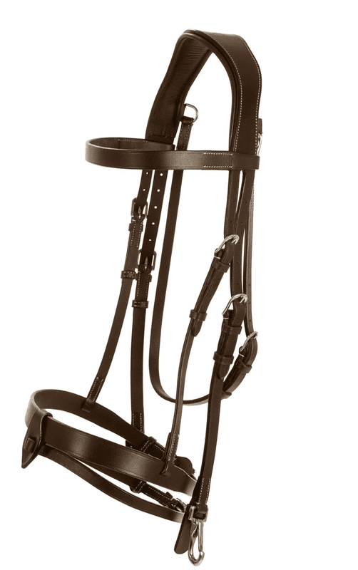 Hodelag -Trainer-